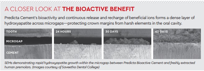 a closer look at the bioactive benefit